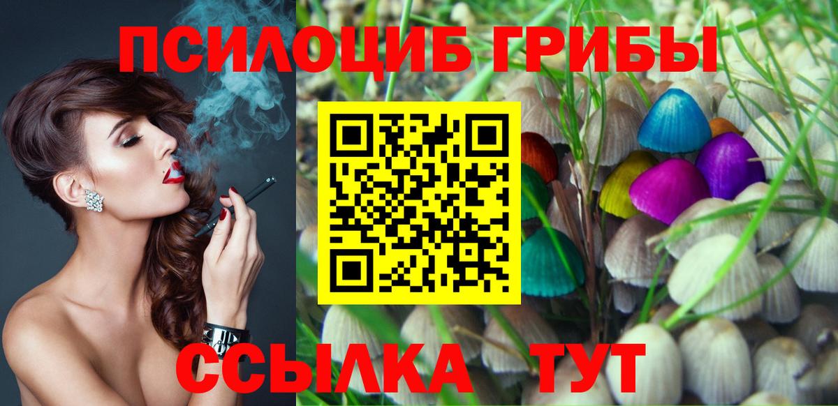 Хасавюрт  Псилоцибиновые грибы Cubensis  Вход с VPN 