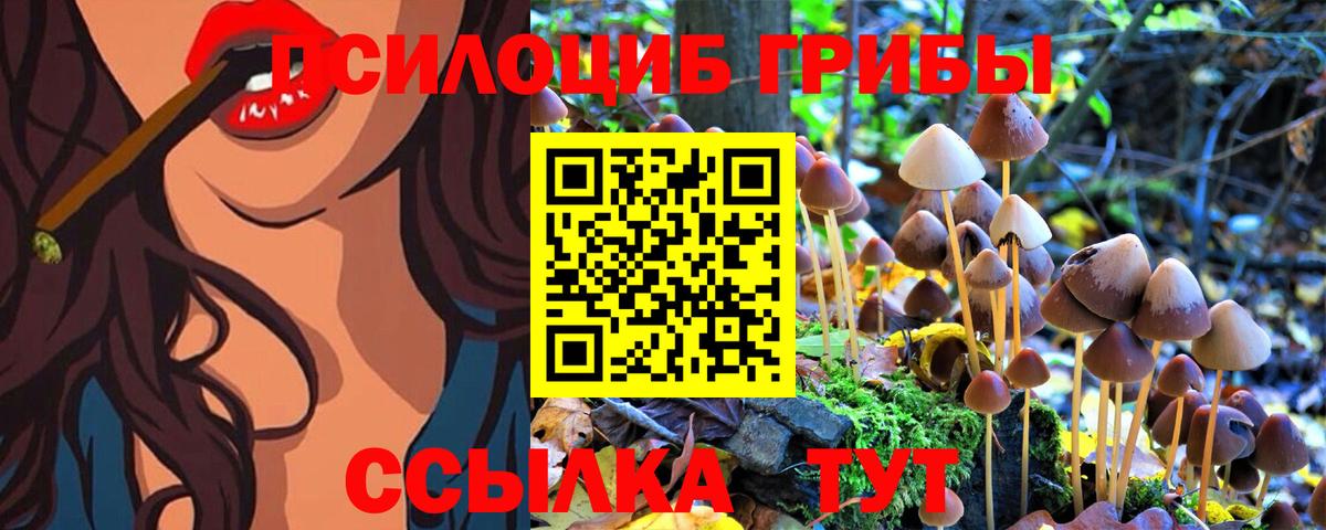 Псилоцибиновые грибы MAGIC MUSHROOMS Хасавюрт